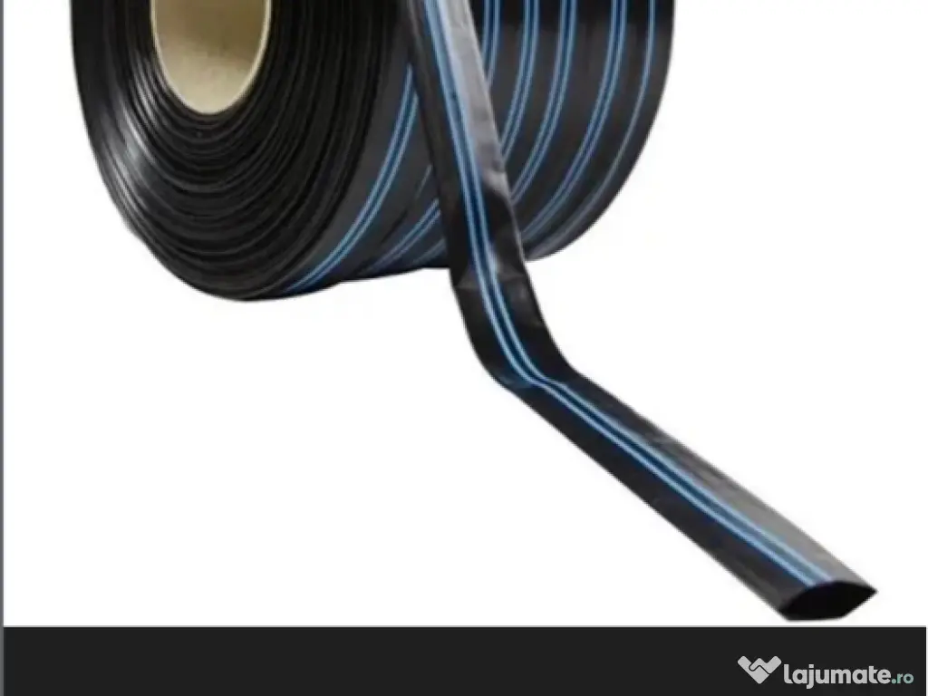 Caine pentru adoptie 