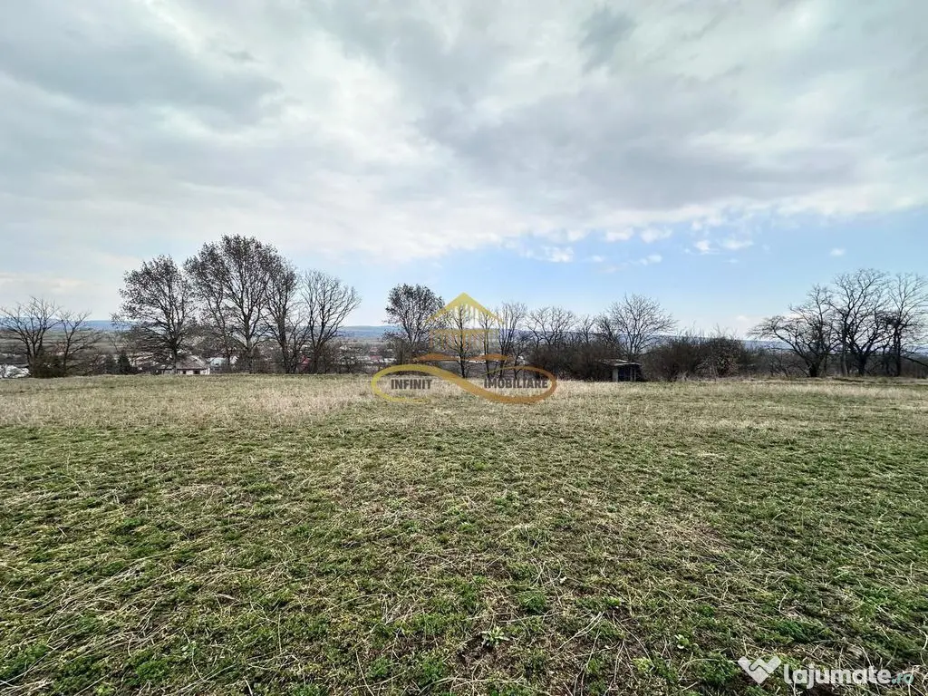 Teren de vanzare Blagesti Bacau 
