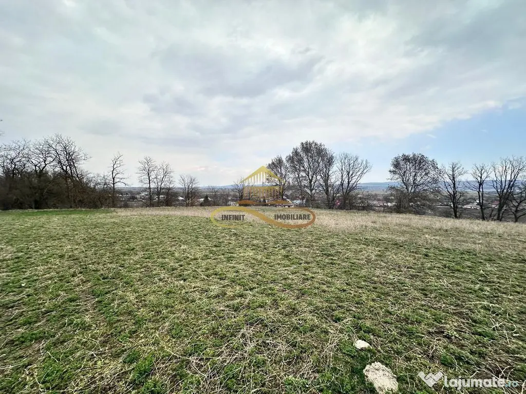 Teren de vanzare Blagesti Bacau 