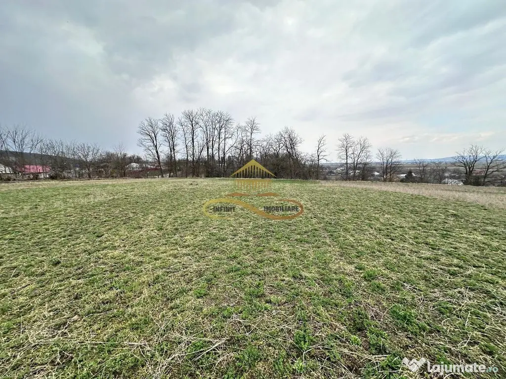 Teren de vanzare Blagesti Bacau 