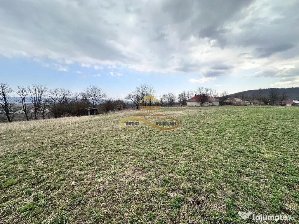Teren de vanzare Blagesti Bacau 