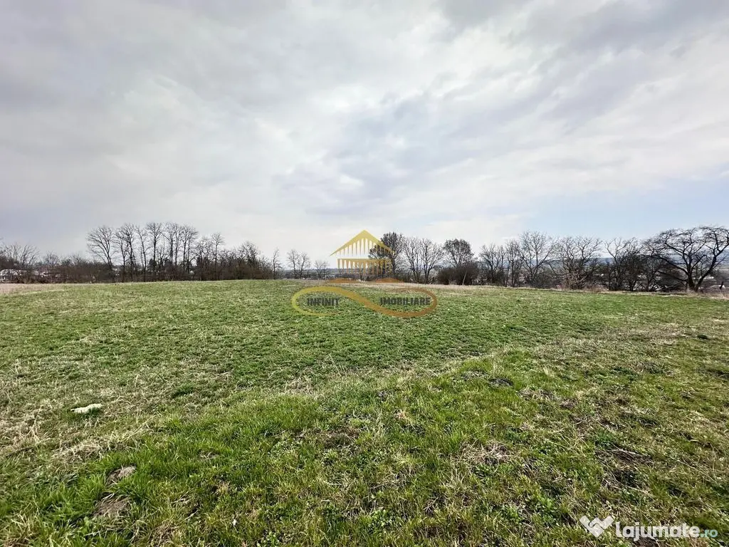 Teren de vanzare Blagesti Bacau 