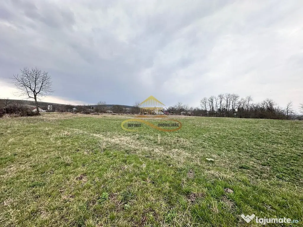 Teren de vanzare Blagesti Bacau 