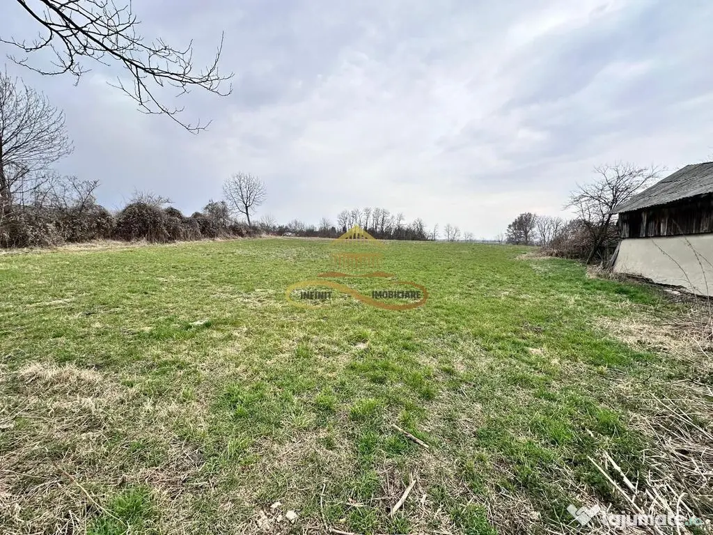 Teren de vanzare Blagesti Bacau 