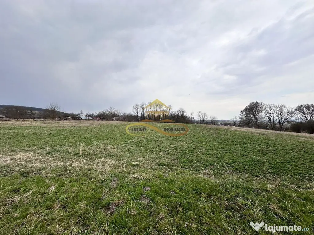 Teren de vanzare Blagesti Bacau 