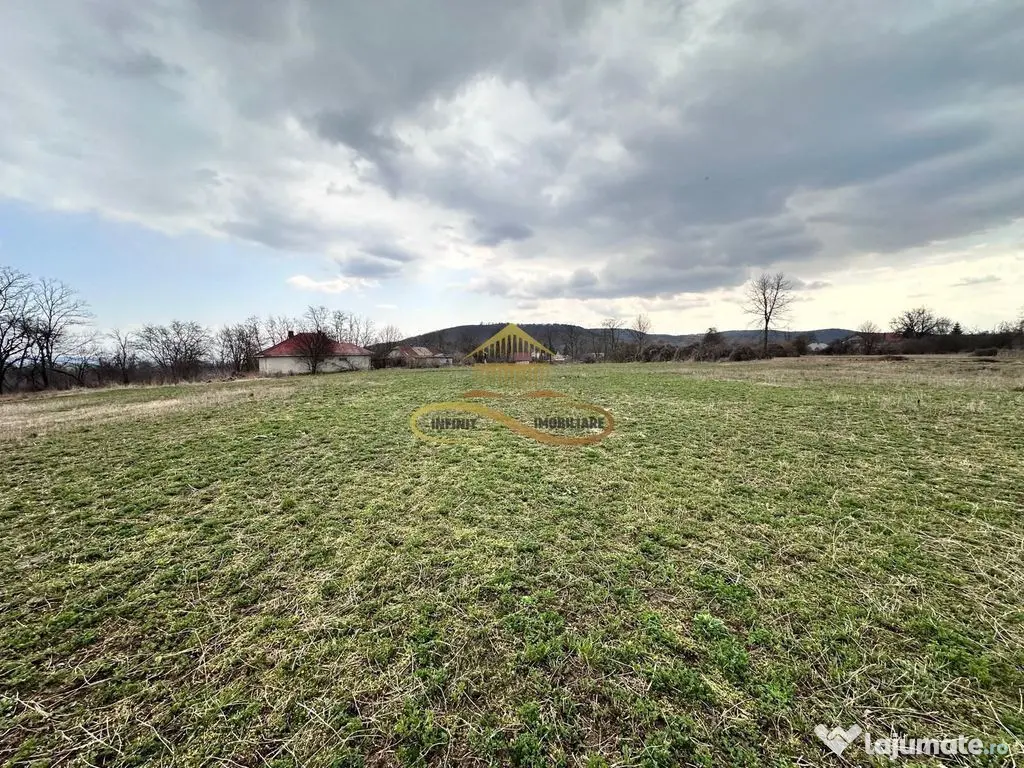 Teren de vanzare Blagesti Bacau 