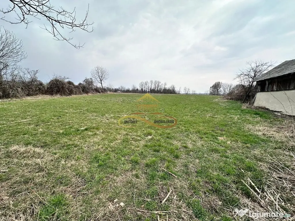 Teren de vanzare Blagesti Bacau 