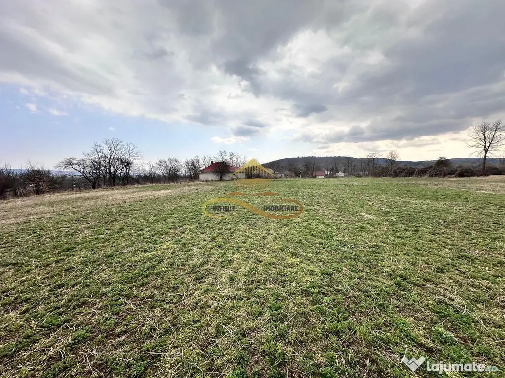Teren de vanzare Blagesti Bacau 