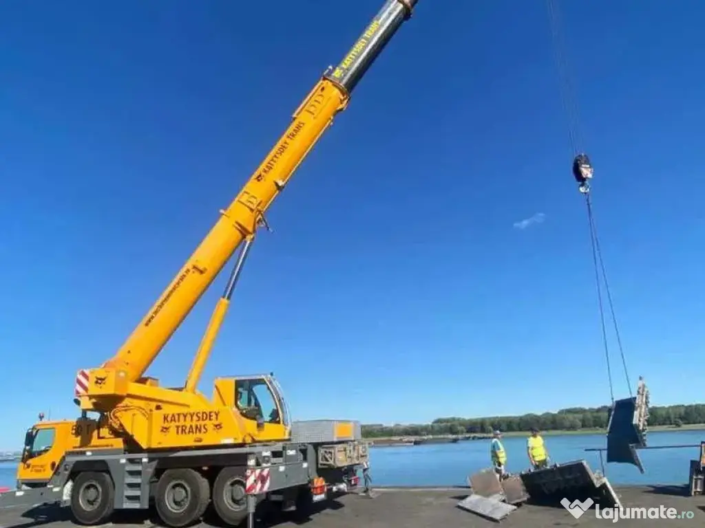 Lucrări Grele cu Macara 220 Tone BRĂILA | Ridicări Industriale 
