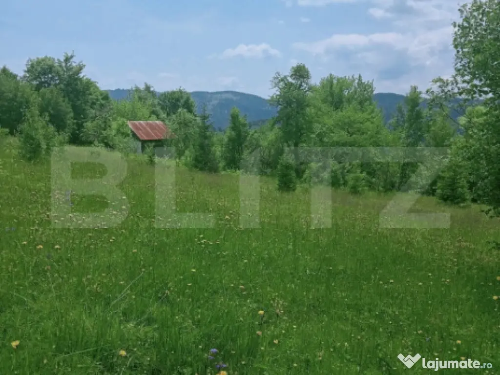 Teren intravilan de vânzare, 12000mp, Trâncești, Scăriș 