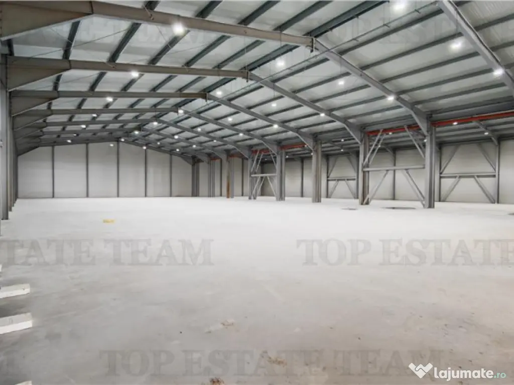 Hala Industriala Balotesti - Spatiu Generos si Accesibilitat 