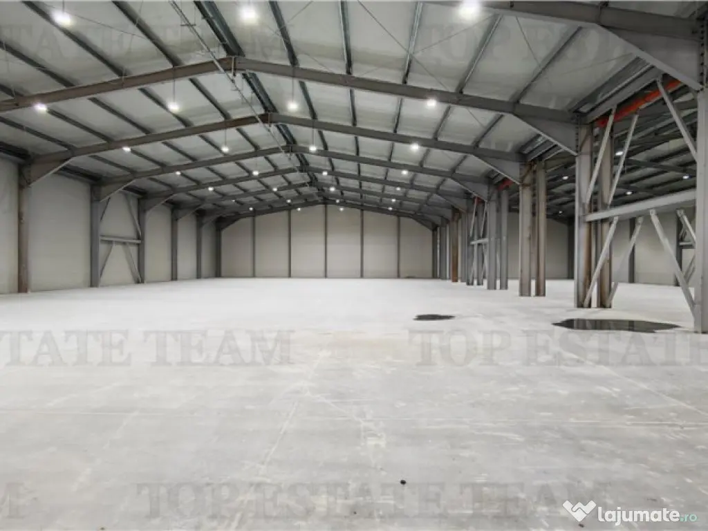 Hala Industriala Balotesti - Spatiu Generos si Accesibilitat 