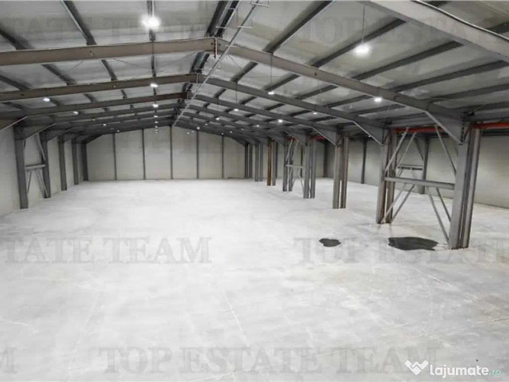 Hala Industriala Balotesti - Spatiu Generos si Accesibilitat 