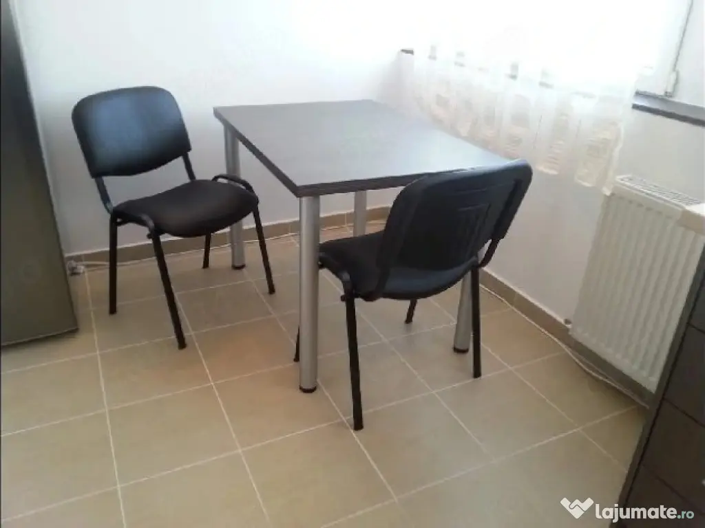 Dimitrie leonida maica tereza oltenitei 