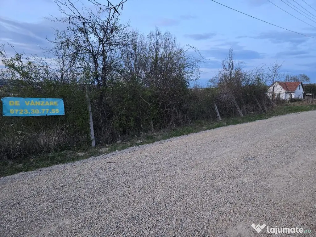 Ter Zona Coline-Raspantii, 1000 mp , utilitati, intre case, gaz 