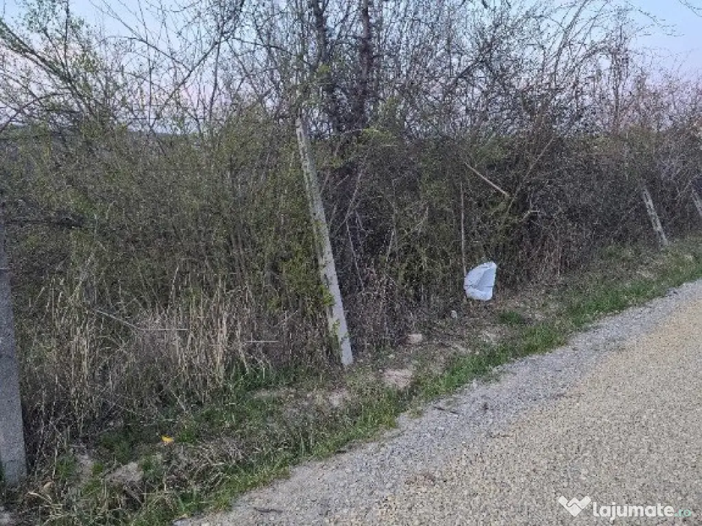 Ter Zona Coline-Raspantii, 1000 mp , utilitati, intre case, gaz 