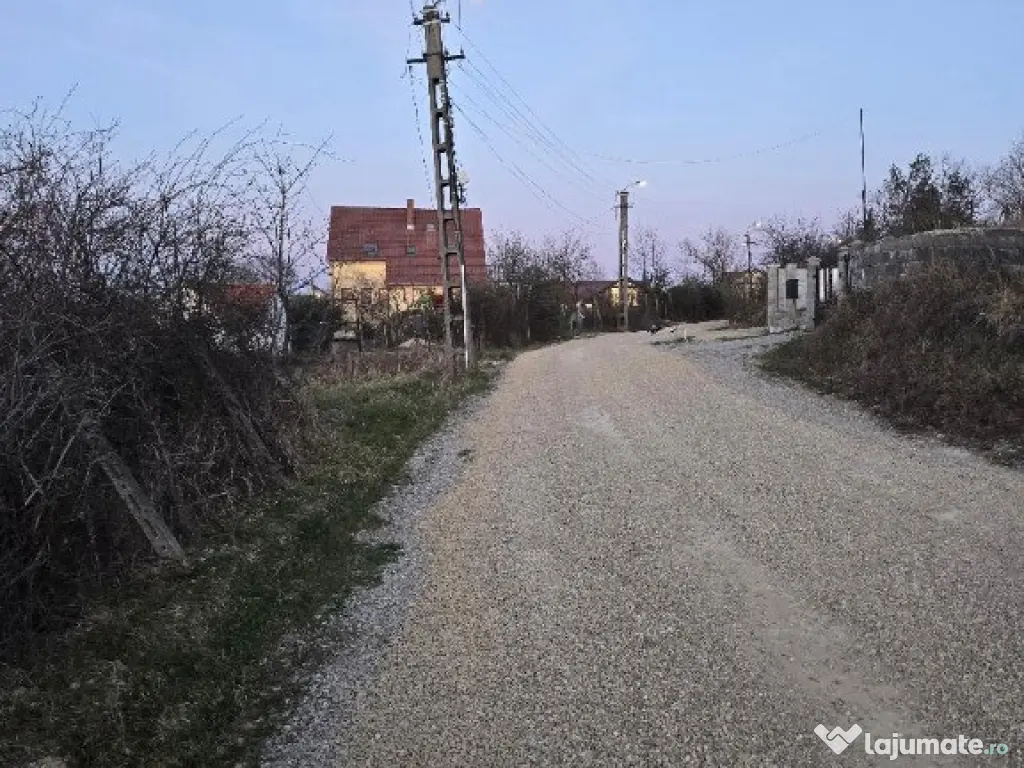 Ter Zona Coline-Raspantii, 1000 mp , utilitati, intre case, gaz 