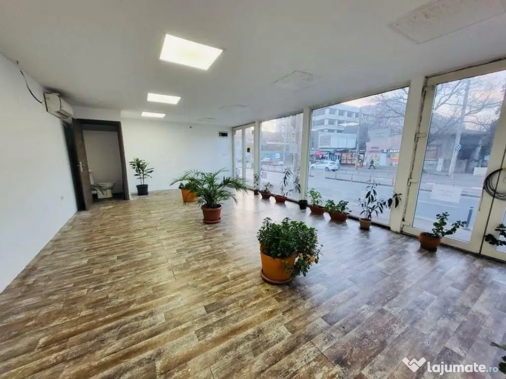 13 Septembrie | vila multi-unitati stradala | business oppor 