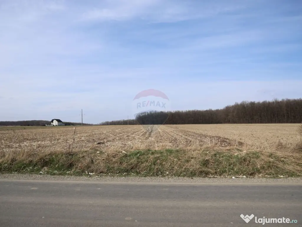 Teren 9,740mp Suceava / Strada Principala 