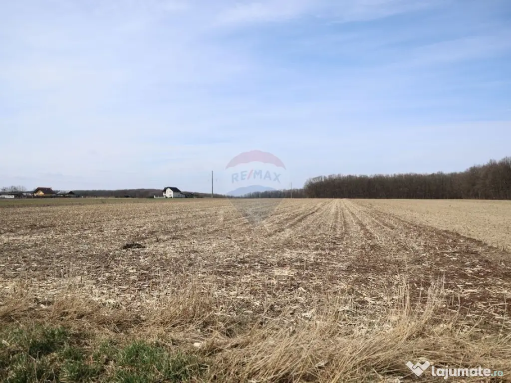 Teren 9,740mp Suceava / Strada Principala 