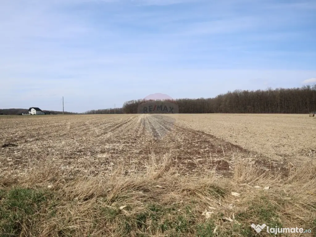 Teren 9,740mp Suceava / Strada Principala 