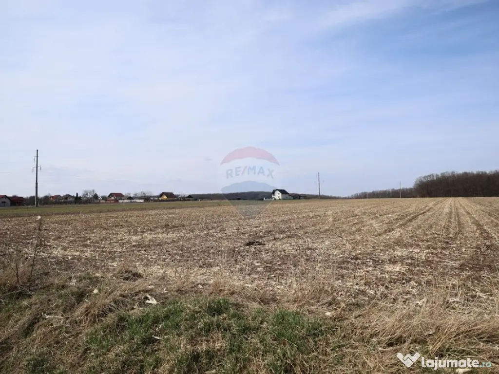 Teren 9,740mp Suceava / Strada Principala 