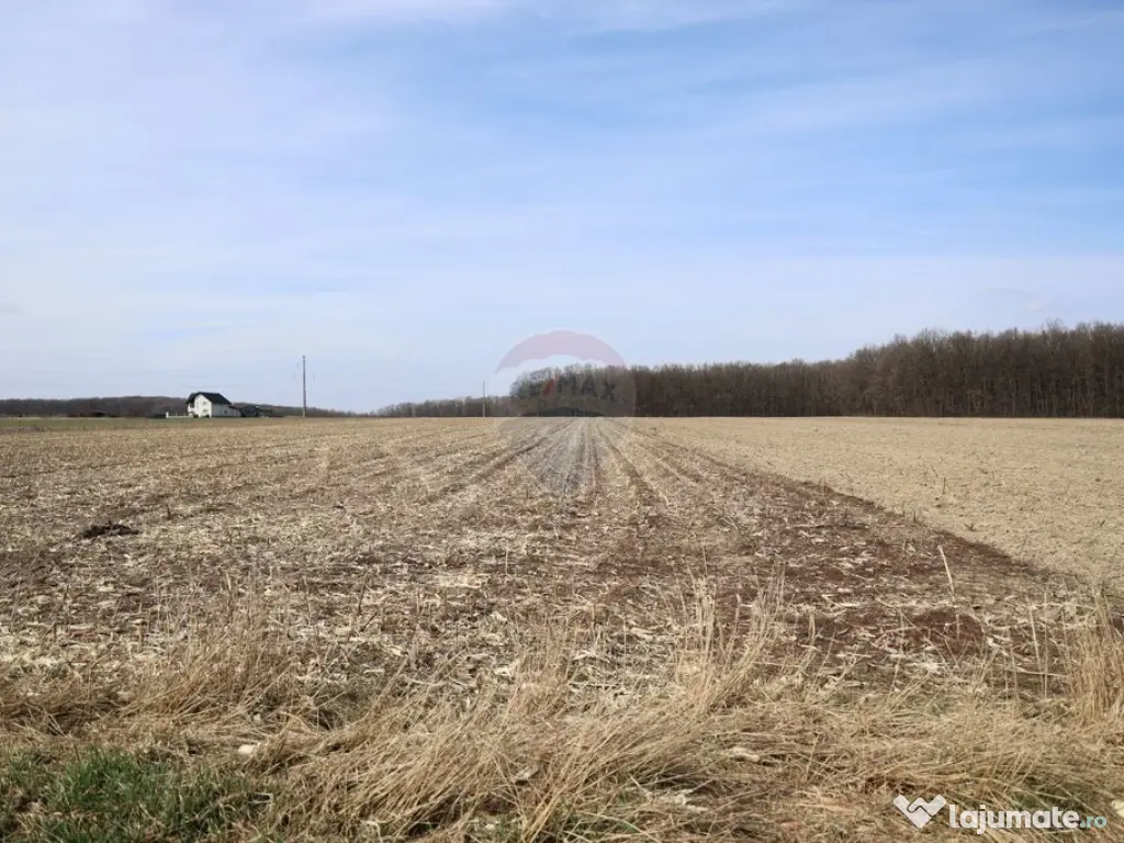 Teren 9,740mp Suceava / Strada Principala 