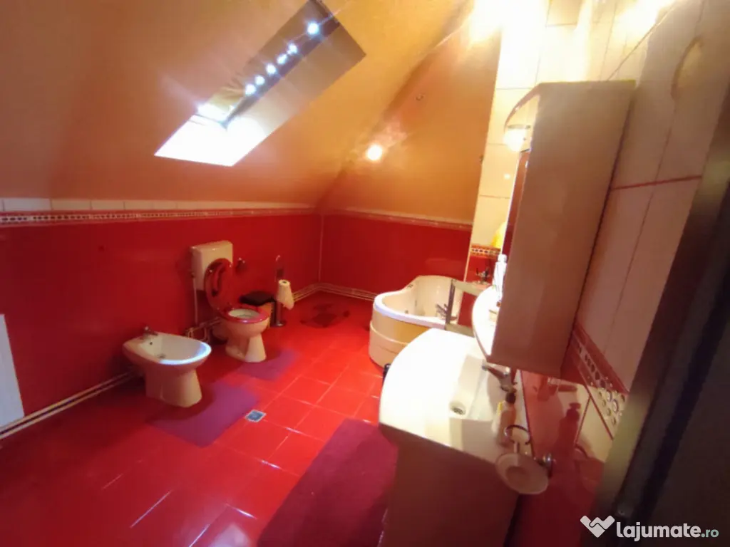 Casa 550 mp, Catargiu 