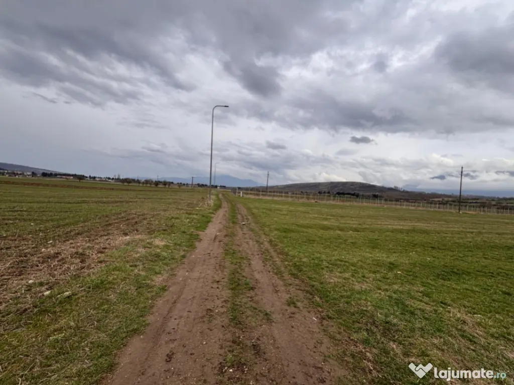 Teren intravilan pentru constructii Zarnesti 