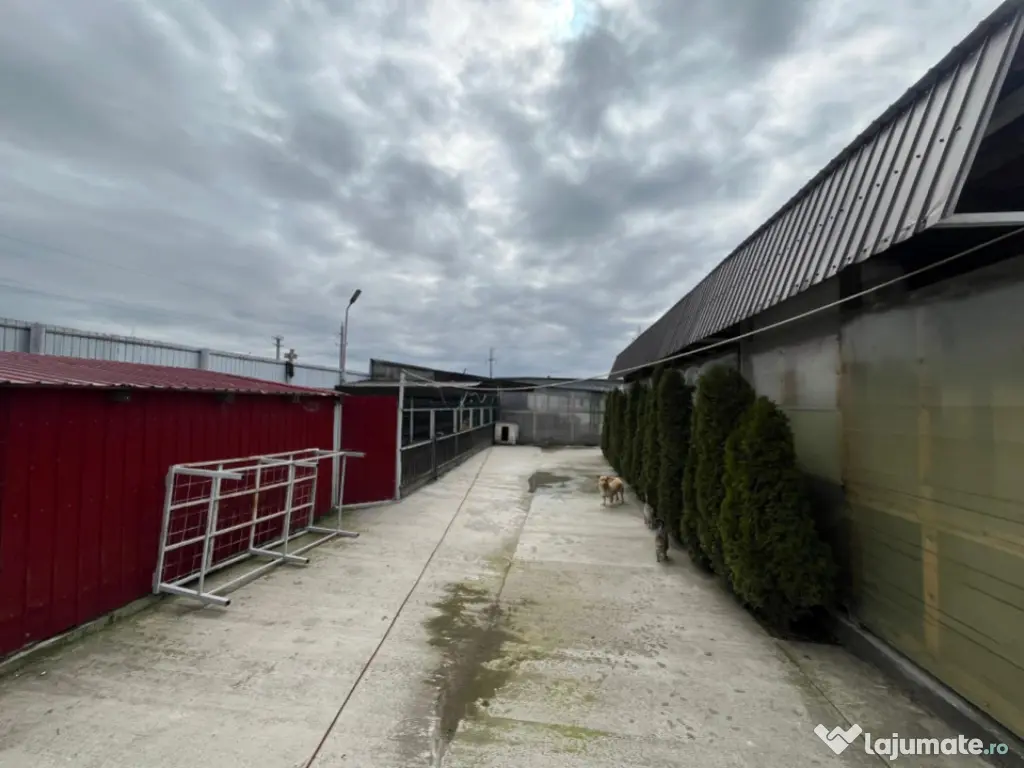 Teren intravilan Ișalnița – oportunitate excelentă pent 