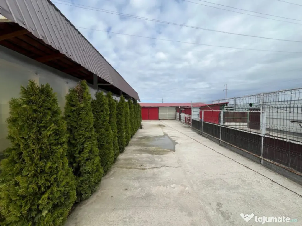 Teren intravilan Ișalnița – oportunitate excelentă pent 