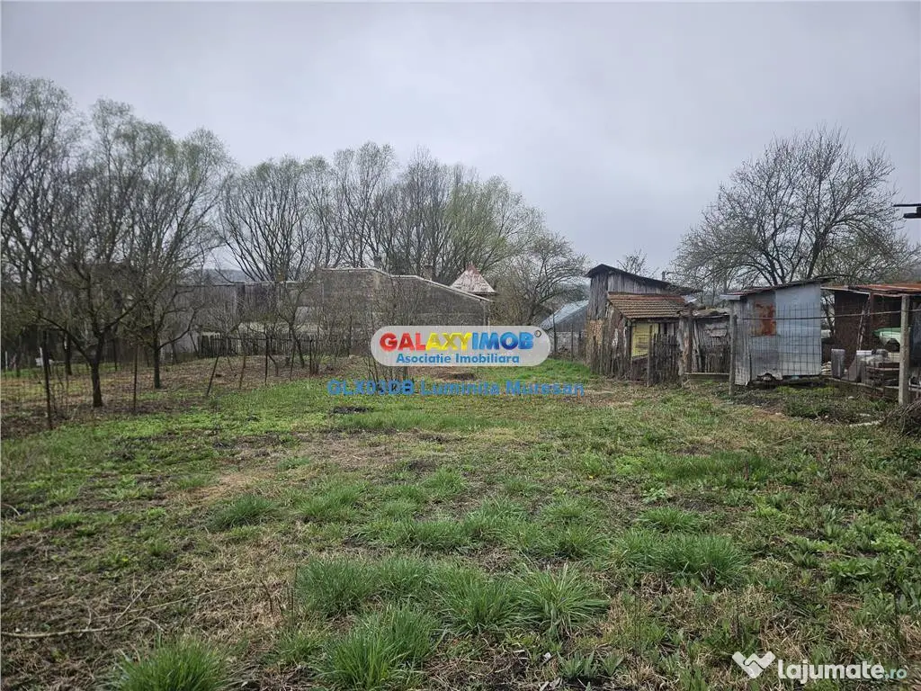 Casa batraneasca 750mp teren Viforata Comuna Aninoasa 