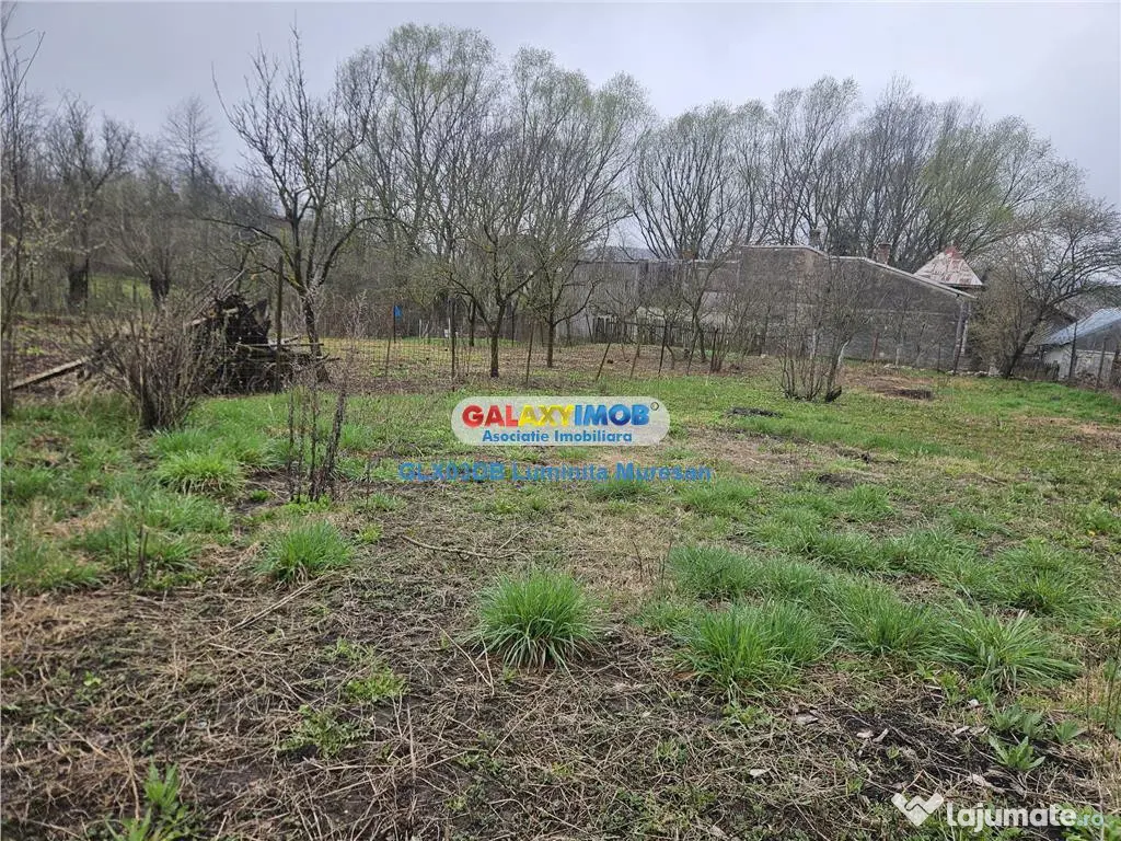 Casa batraneasca 750mp teren Viforata Comuna Aninoasa 