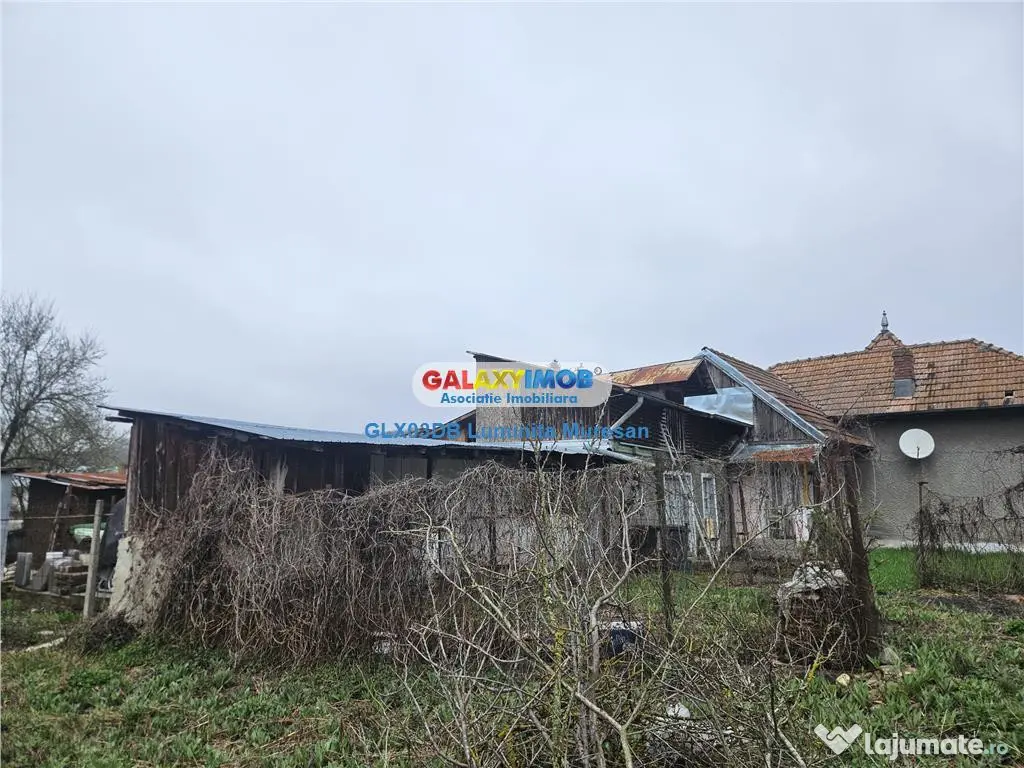 Casa batraneasca 750mp teren Viforata Comuna Aninoasa 