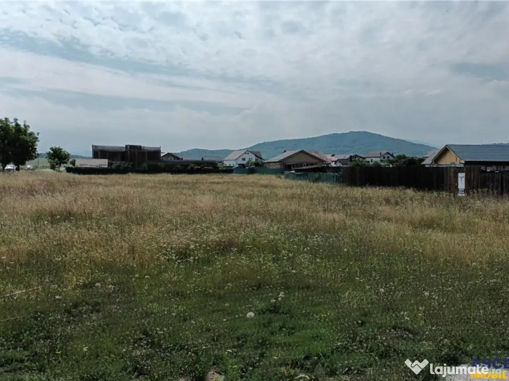 Casa deosebita,la cheie,finisaje personalizate,15 minute de 