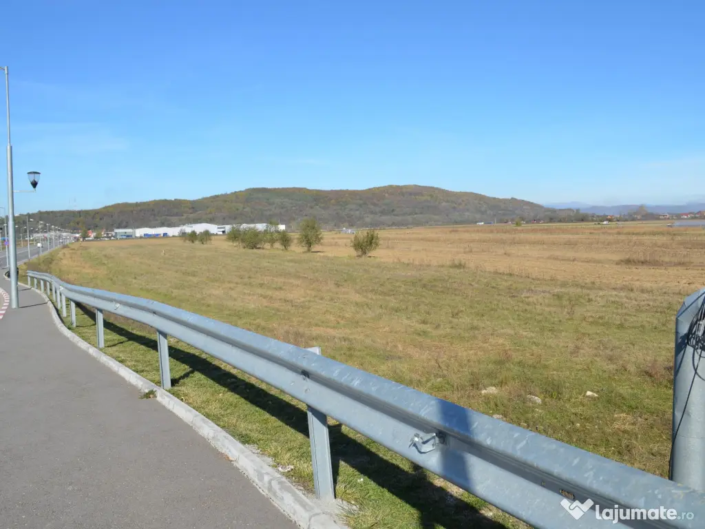 Teren intravilan de vânzare – 7.002 mp - Deschidere 70 m la bulevard | Mioveni 
