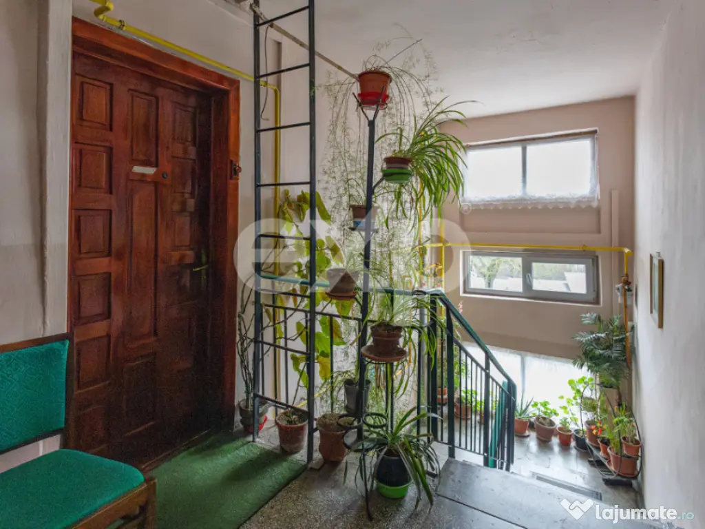 De vanzare apartament 2 camere in Buzias 