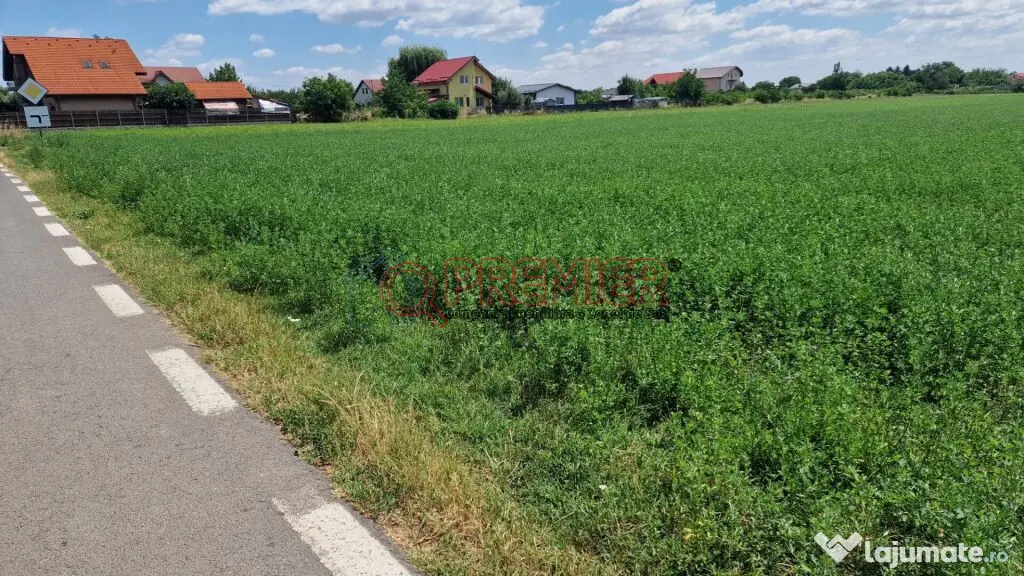 Teren intravilan 9.470 mp – Bolintin-Deal, locație 