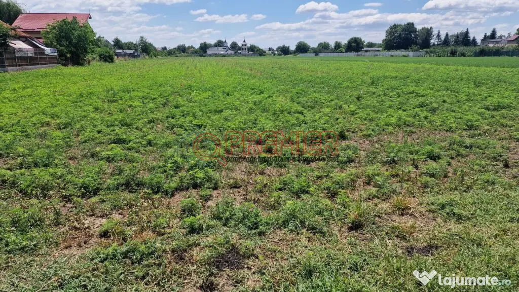 Teren intravilan 9.470 mp – Bolintin-Deal, locație 