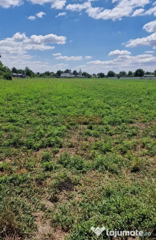 Teren intravilan 9.470 mp – Bolintin-Deal, locație 