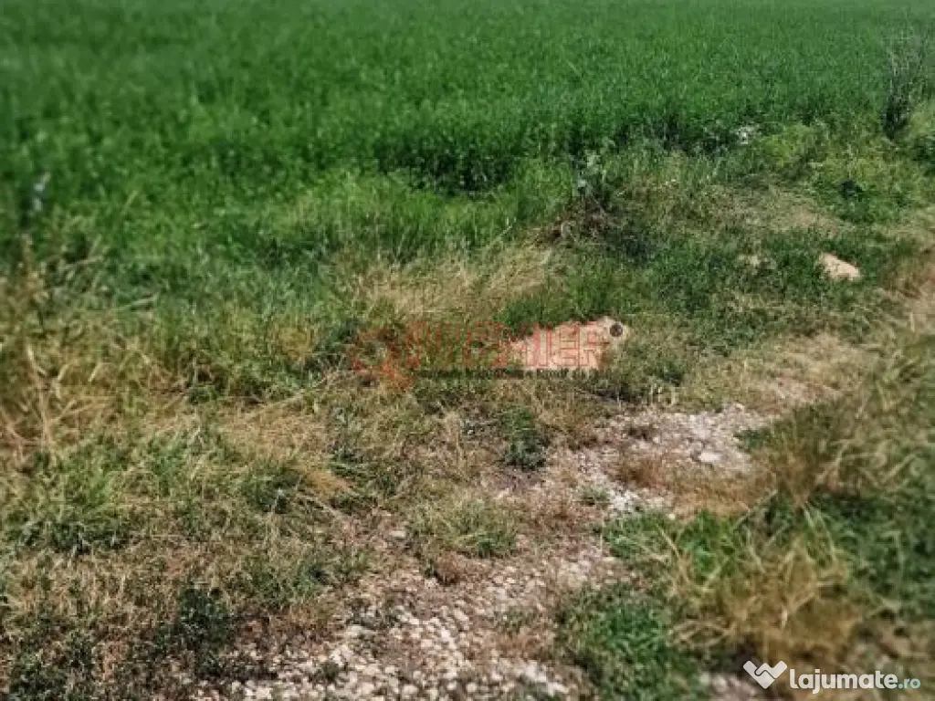 Teren intravilan 9.470 mp – Bolintin-Deal, locație 