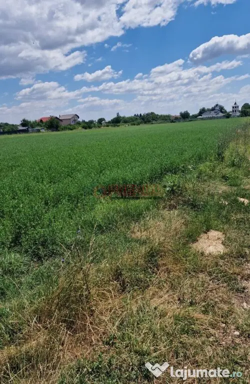Teren intravilan 9.470 mp – Bolintin-Deal, locație 
