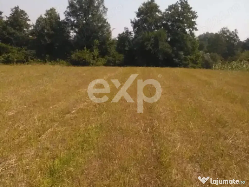 5000 mp teren + casa vacanta in Bascov 