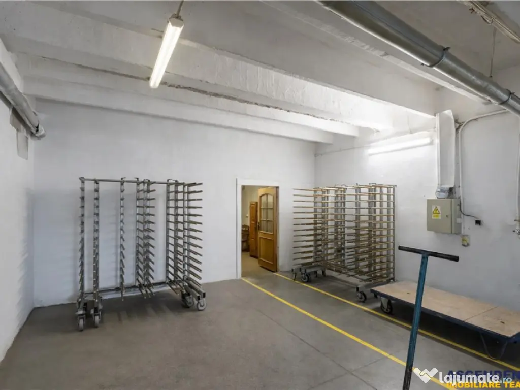 Complex industrial modern, acces dublu, potential apreciabil