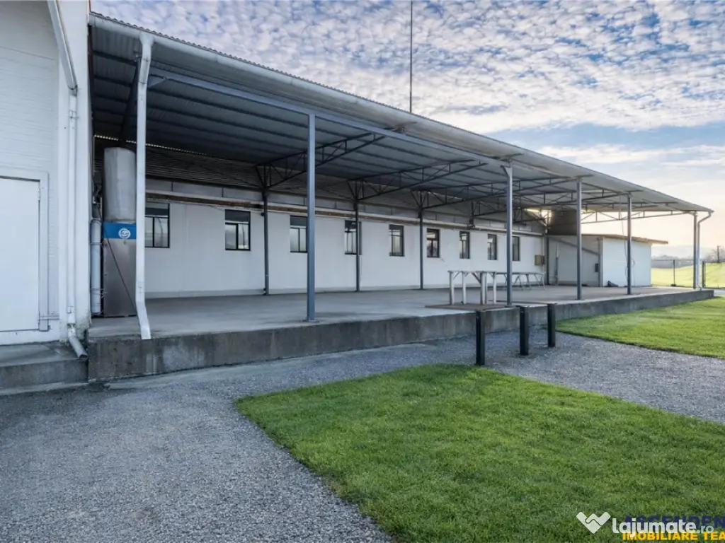 Parc industrial modernizat, acces bilatera, potential remarc 