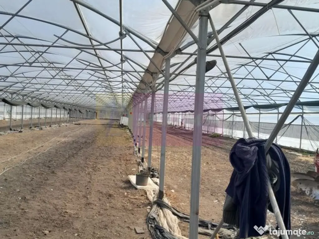 VANZARE TEREN 3100 MP - SAT ROSIORI (IL) 