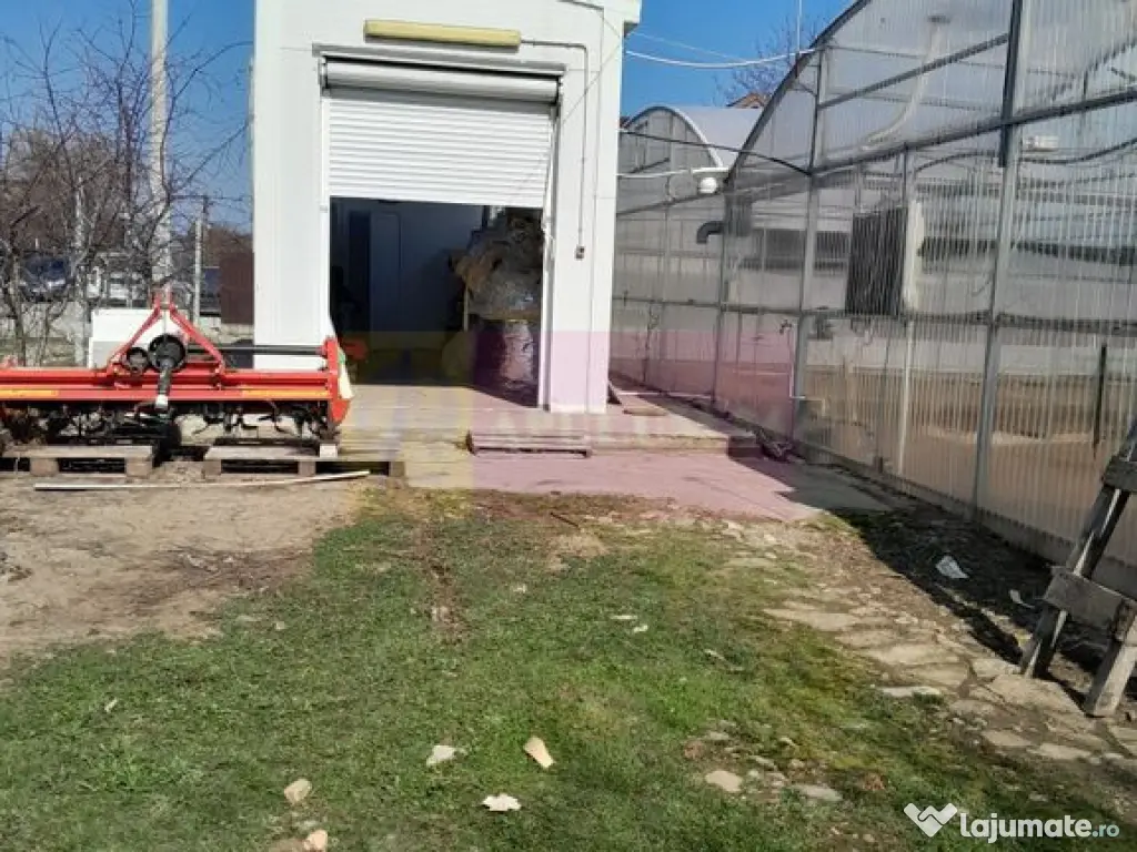 VANZARE TEREN 3100 MP - SAT ROSIORI (IL) 