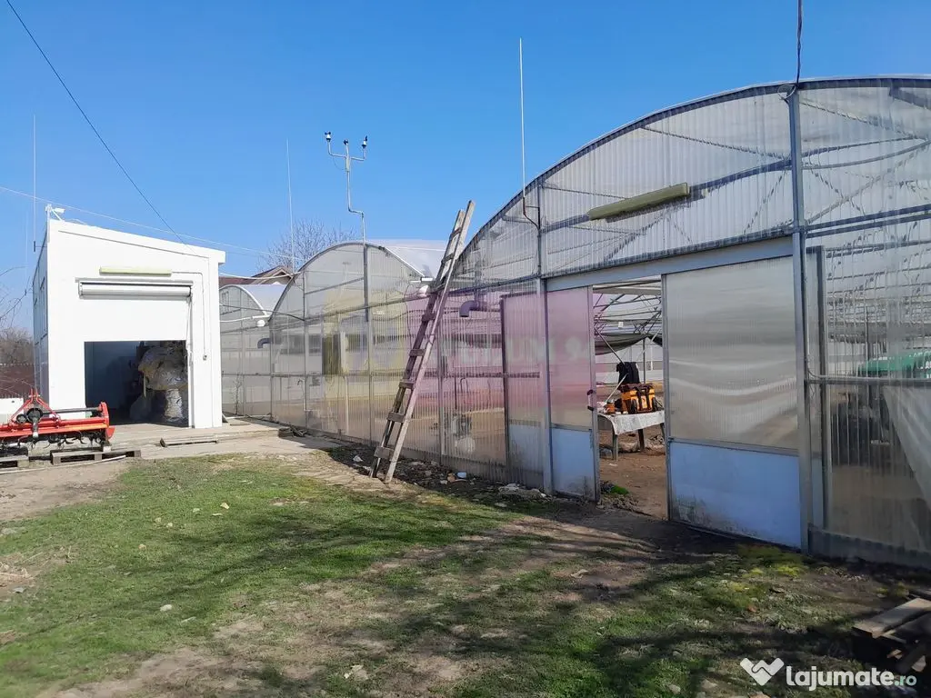 VANZARE TEREN 3100 MP - SAT ROSIORI (IL) 