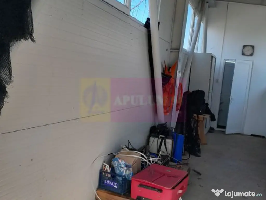 VANZARE TEREN 3100 MP - SAT ROSIORI (IL) 