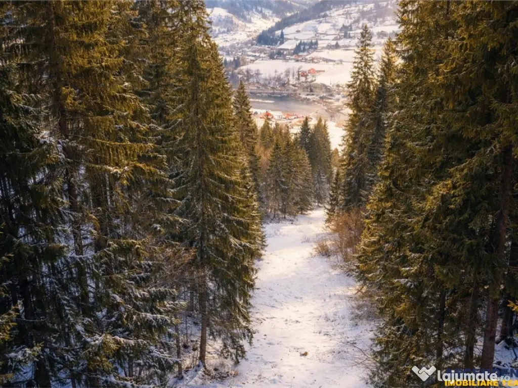 FILM!Teren 7.800mp,fosta partie de schi,investitie turistica 